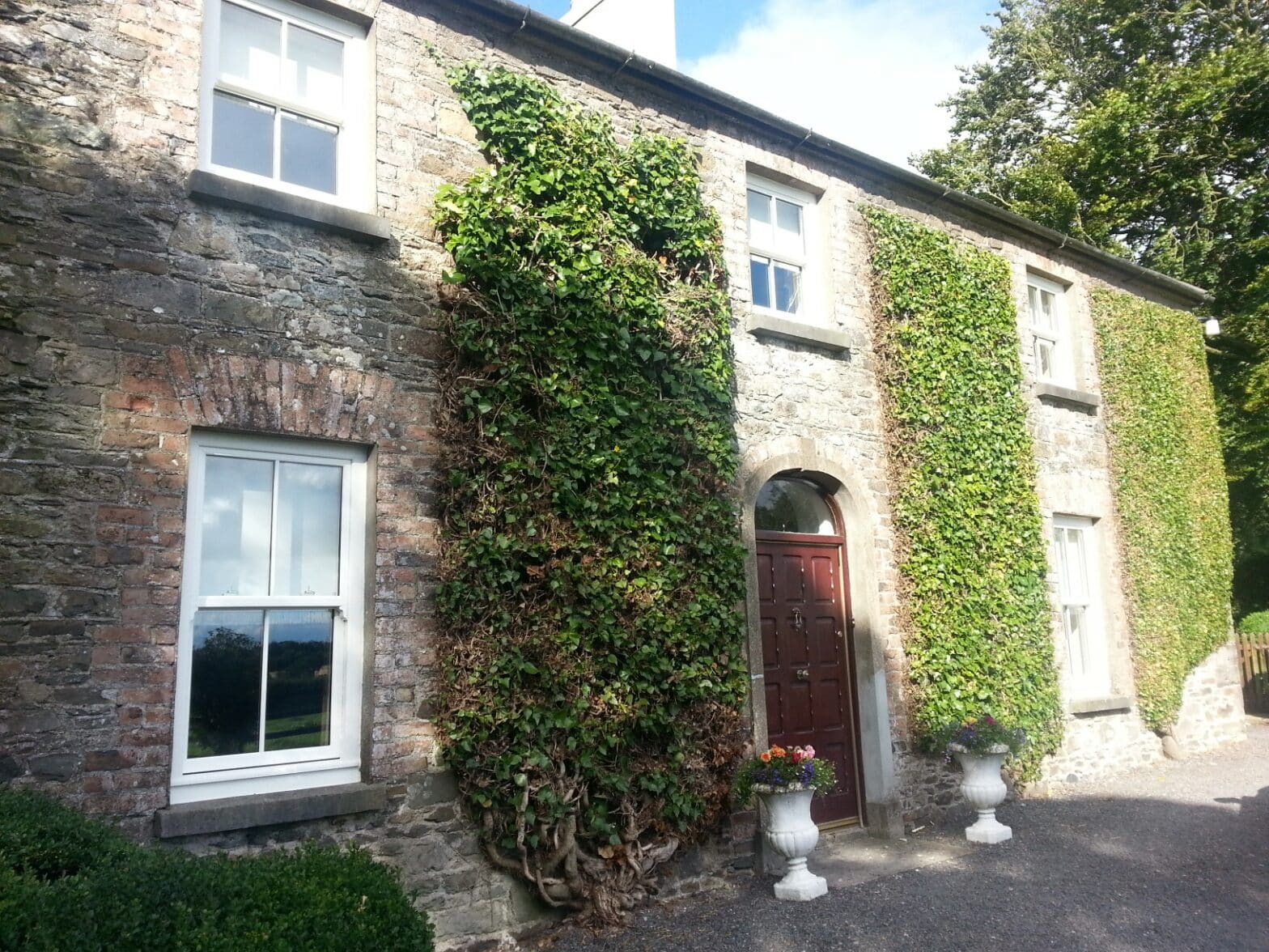 Sash Windows