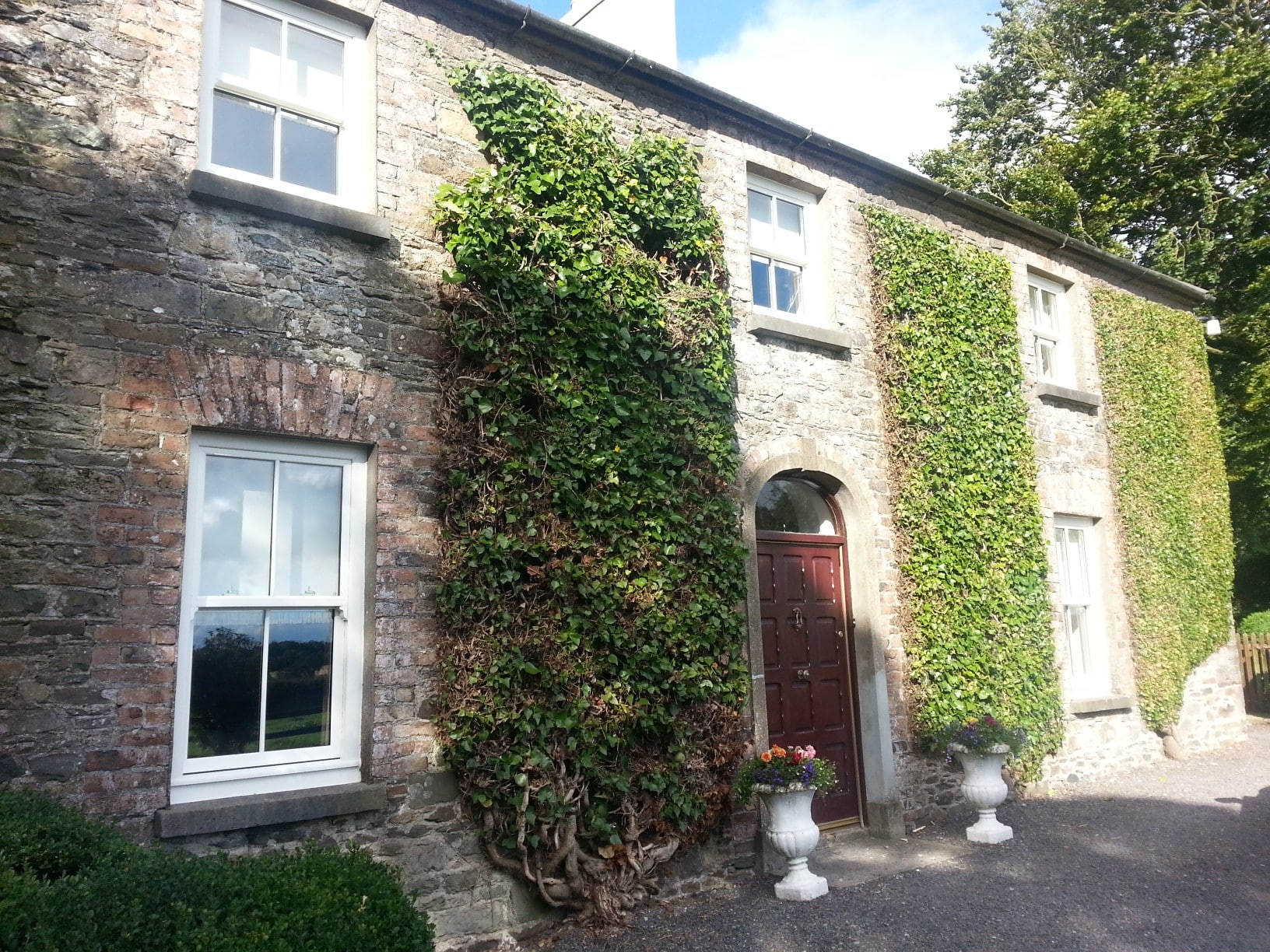 Global sash windows, white grain