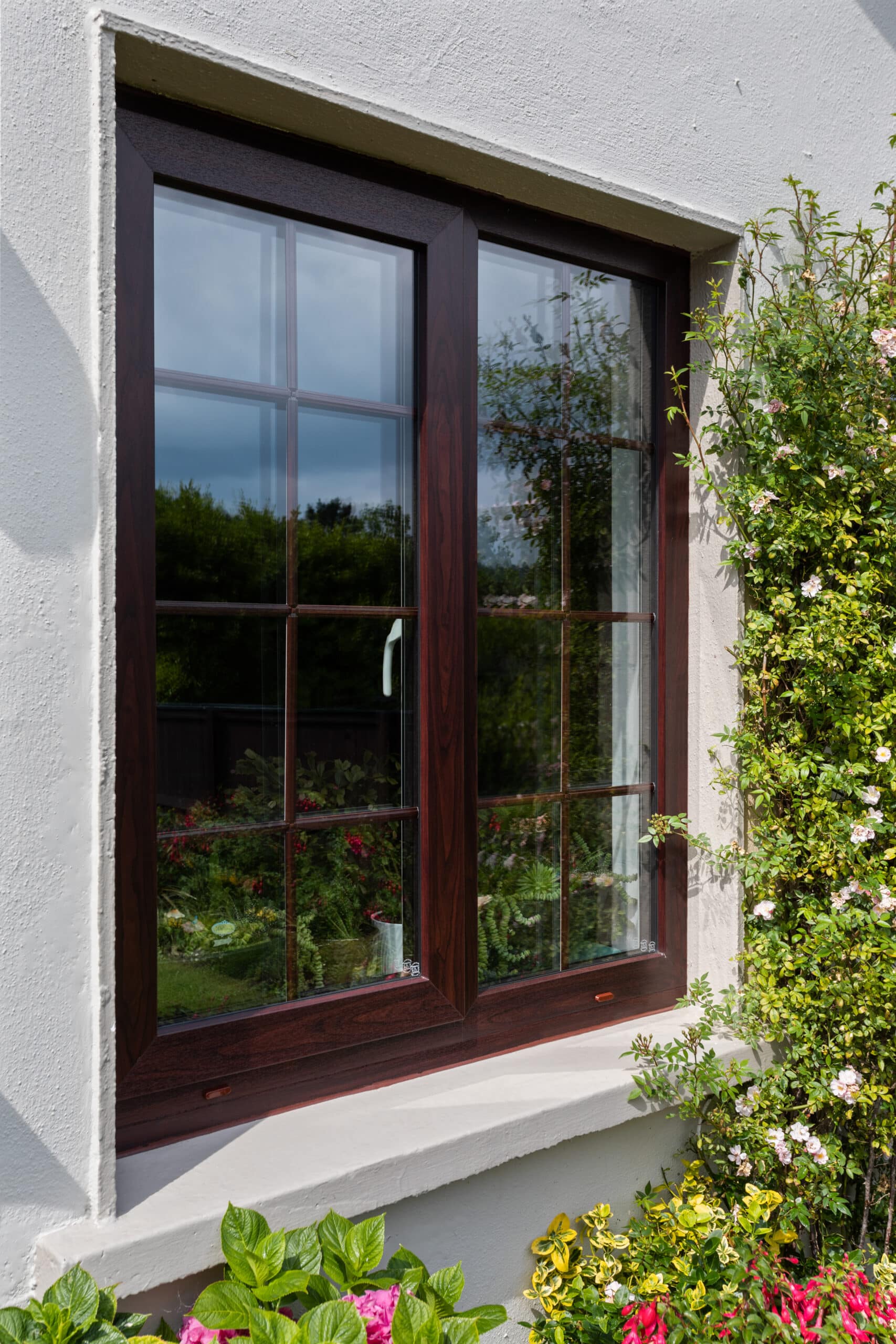 Finesse Frame windows, Rosewood