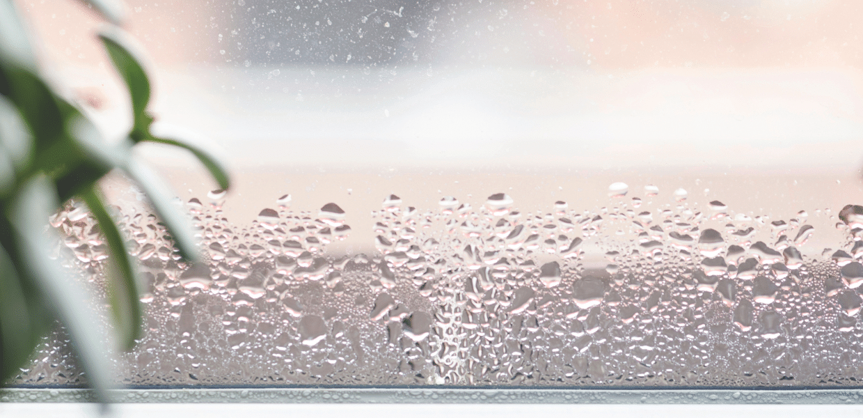 Condensation - the facts
