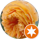 Marguerite Devine profile picture