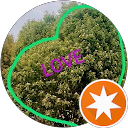 Federica Andriani profile picture